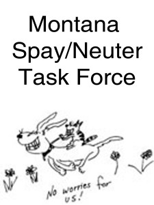 msntf logo 1