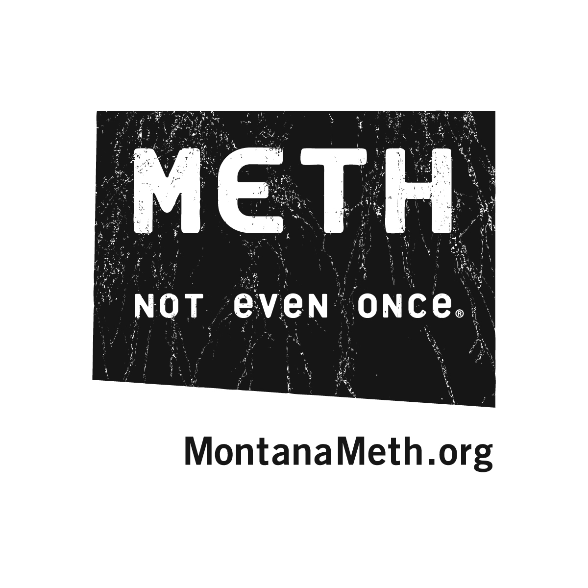 Meth Logo_mm_URL_Blk